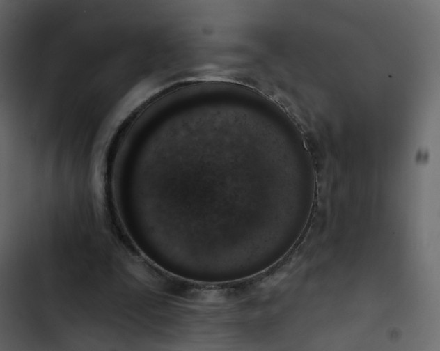 X0000102850295200809021408