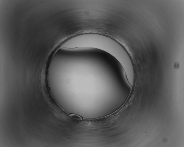 X0000102850297200809021407