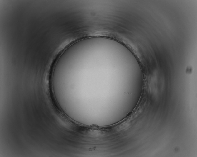 X0000102850298200809021407