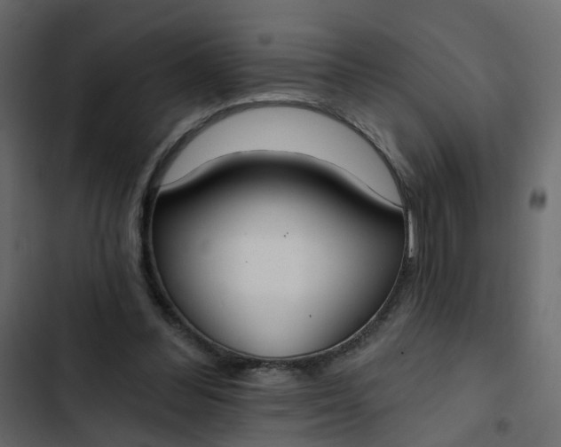 X0000102850300200809021407