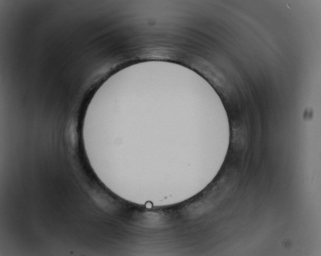 X0000102850302200809021407