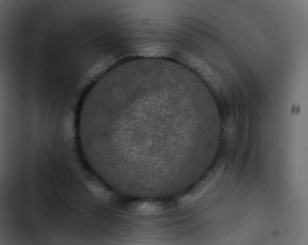 X0000102850303200809021407