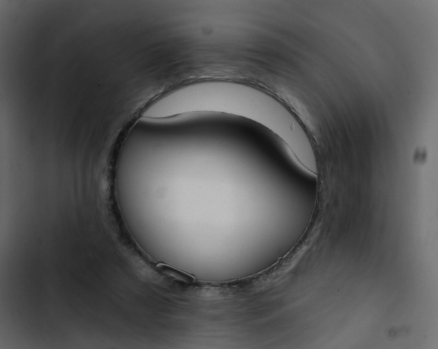 X0000102850305200809021407