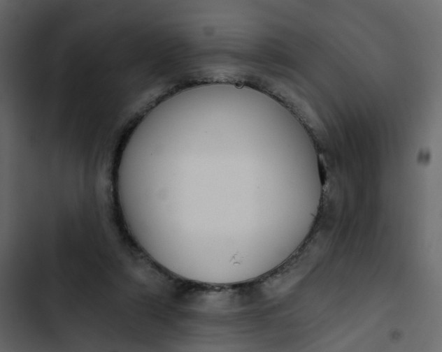 X0000102850306200809021407