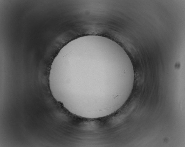 X0000102850307200809021407