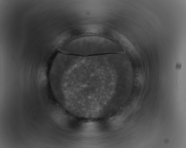 X0000102850312200809021407