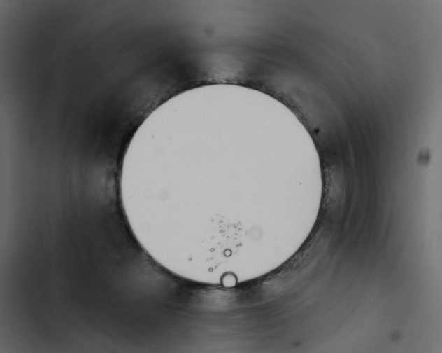 X0000102850313200809021407