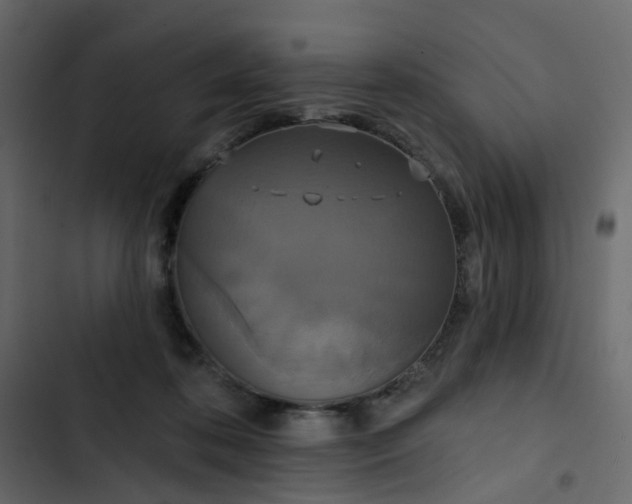 X0000102850316200809021407