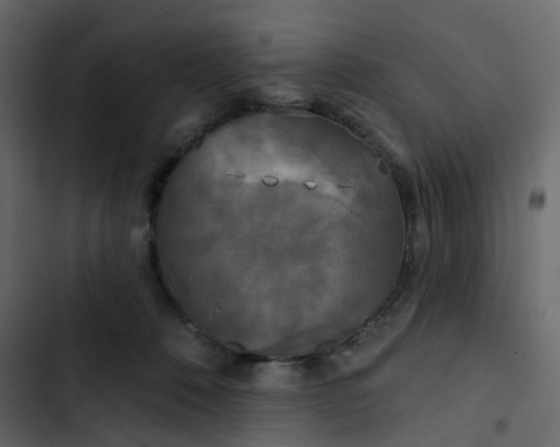 X0000102850320200809021407