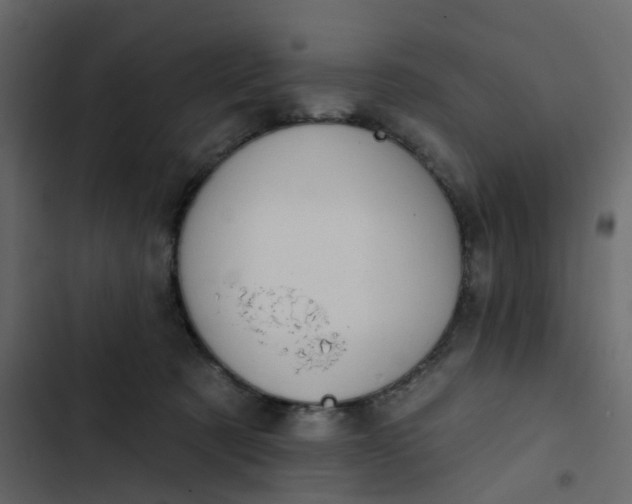 X0000102850321200809021407