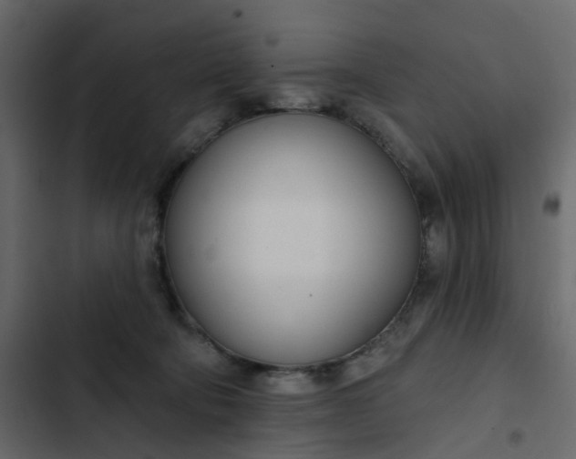 X0000102850322200809021407