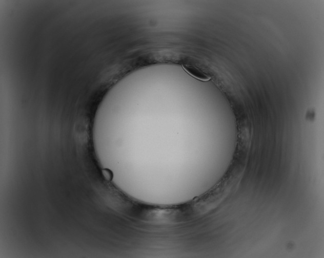 X0000102850323200809021407