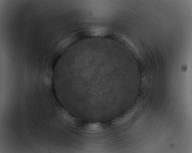 X0000102850325200809021407