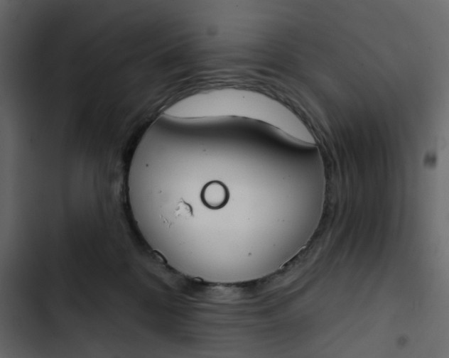 X0000102850328200809021407