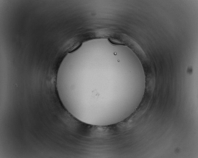 X0000102850329200809021407