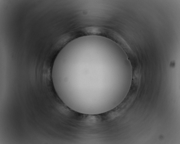 X0000102850330200809021407