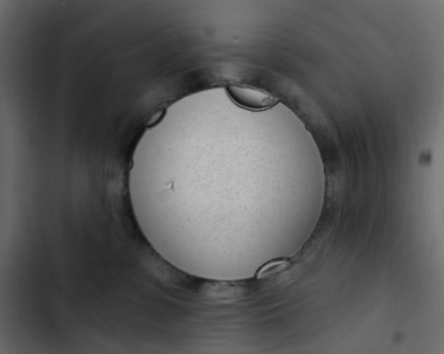 X0000102850331200809021407