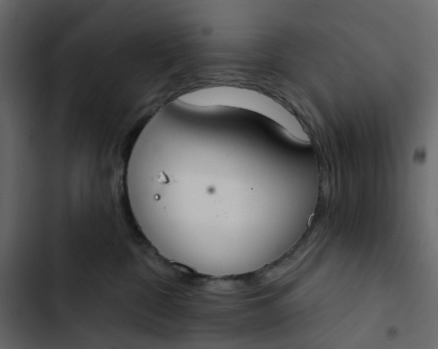 X0000102850332200809021407