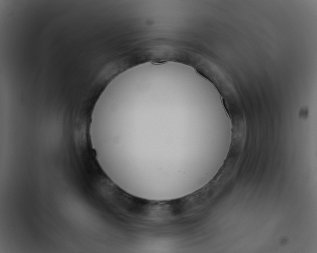 X0000102850333200809021407