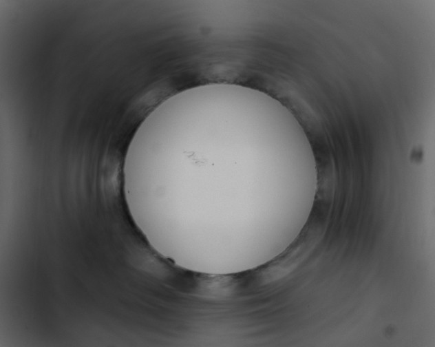 X0000102850334200809021407