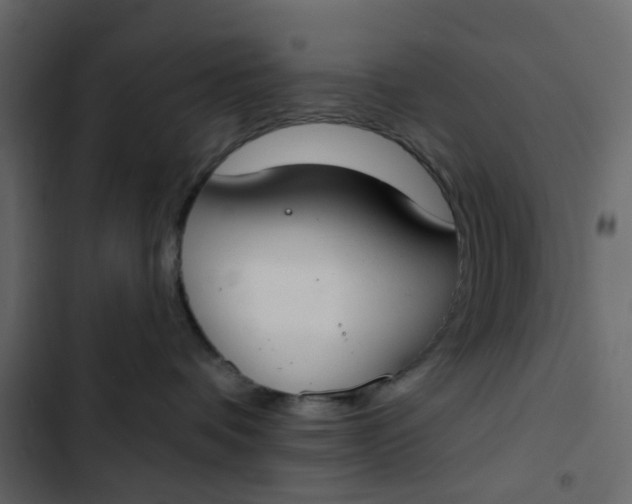 X0000102850336200809021407