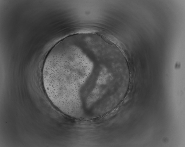 X0000102850337200809021406