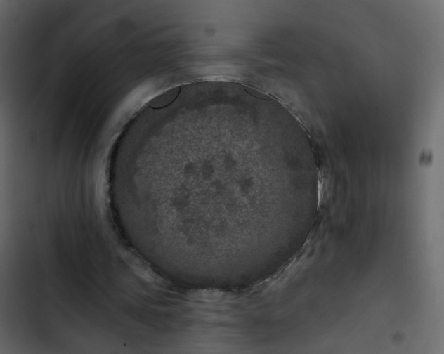 X0000102850339200809021406