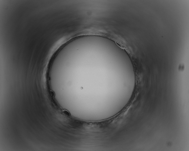 X0000102850340200809021406