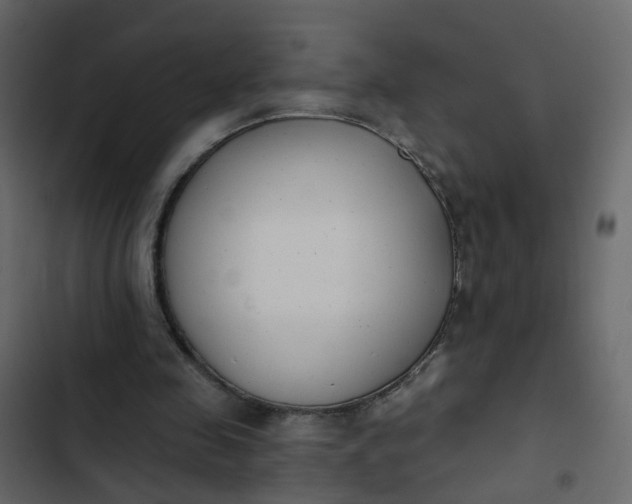 X0000102850341200809021406