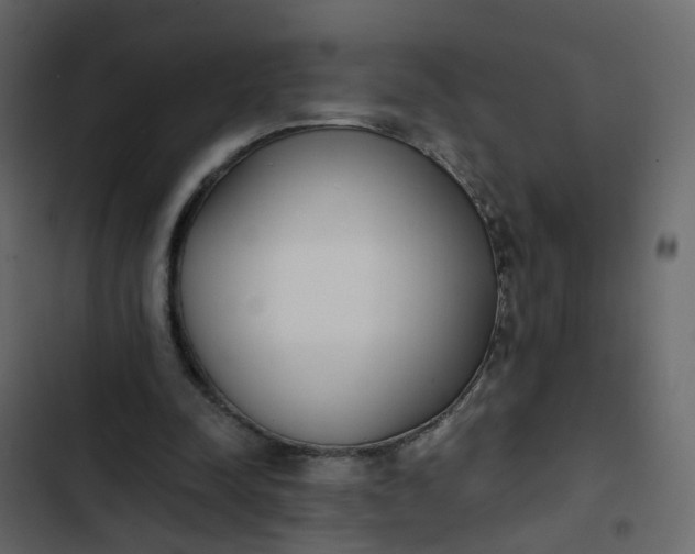 X0000102850342200809021406