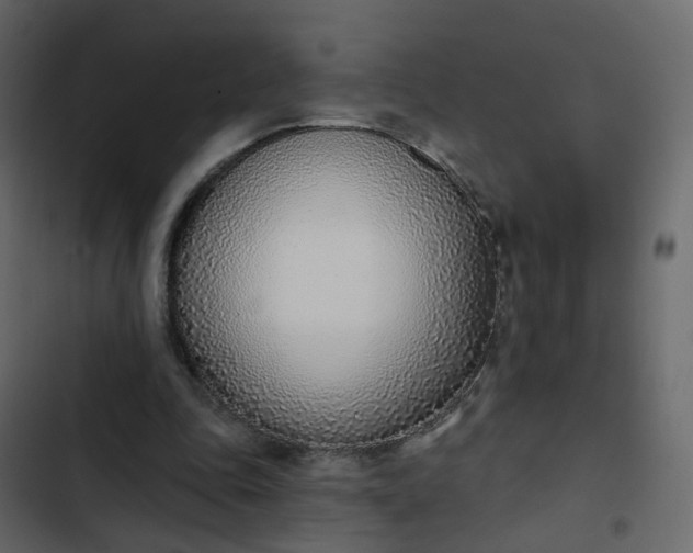 X0000102850343200809021406