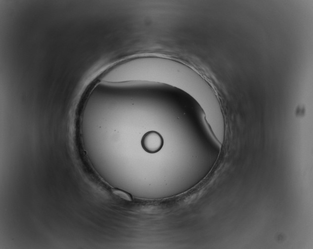 X0000102850344200809021406