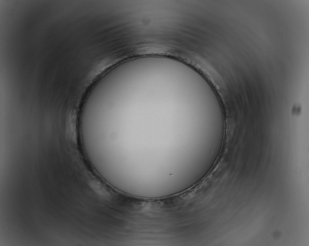 X0000102850345200809021406