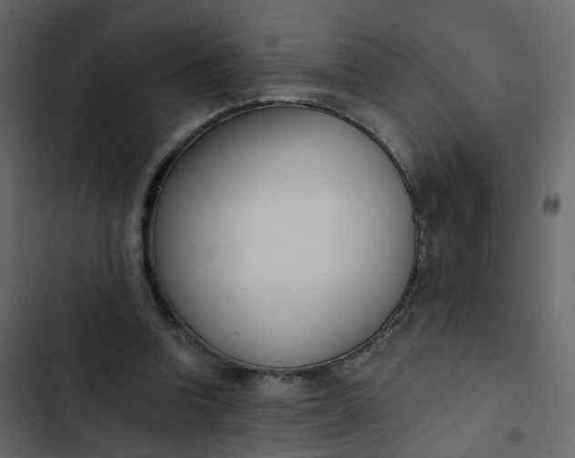 X0000102850346200809021406