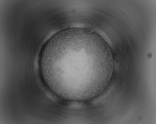 X0000102850347200809021406