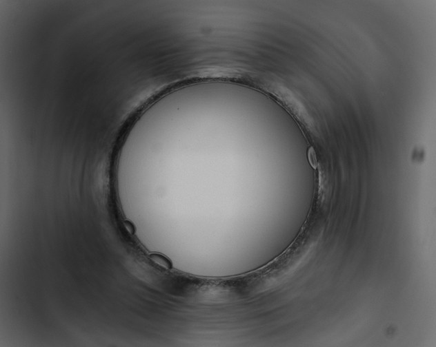 X0000102850348200809021406