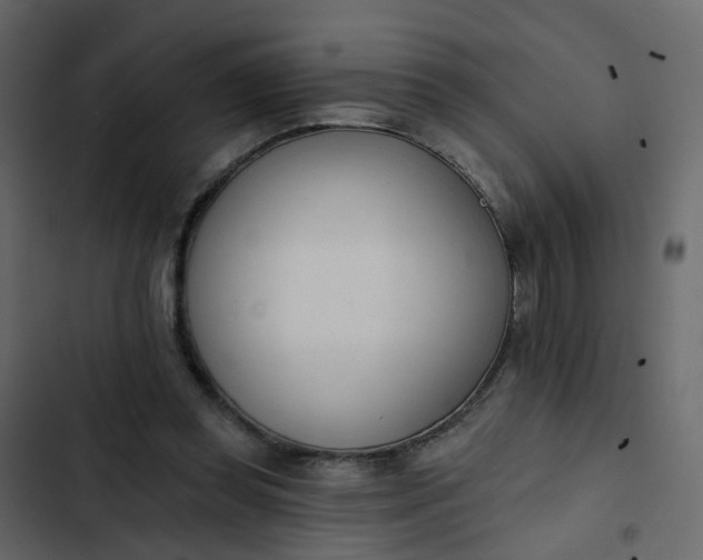 X0000102850349200809021406