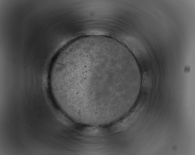 X0000102850351200809021406