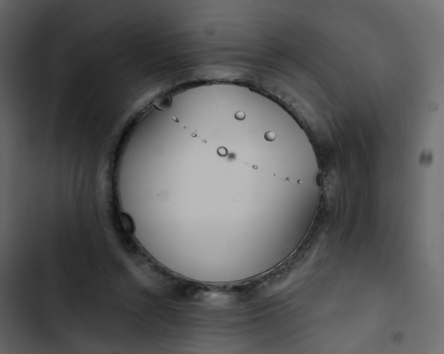 X0000102850352200809021406