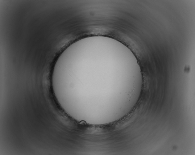 X0000102850354200809021406