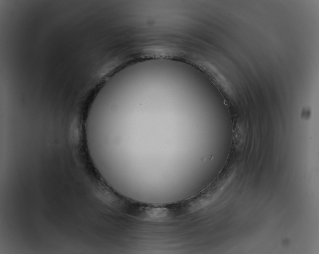 X0000102850355200809021406