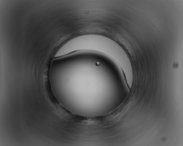 X0000102850356200809021406