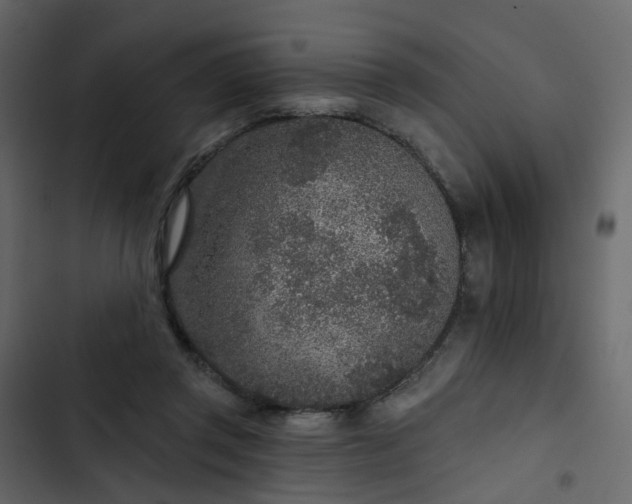 X0000102850357200809021406