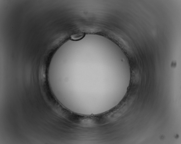 X0000102850358200809021406