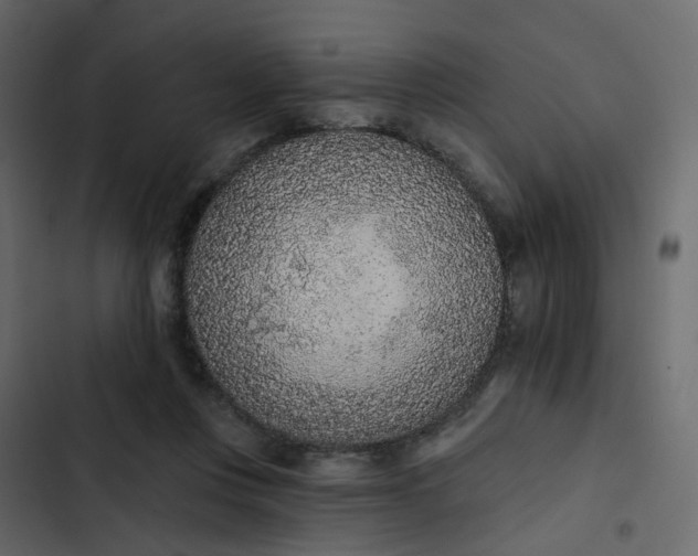 X0000102850359200809021406