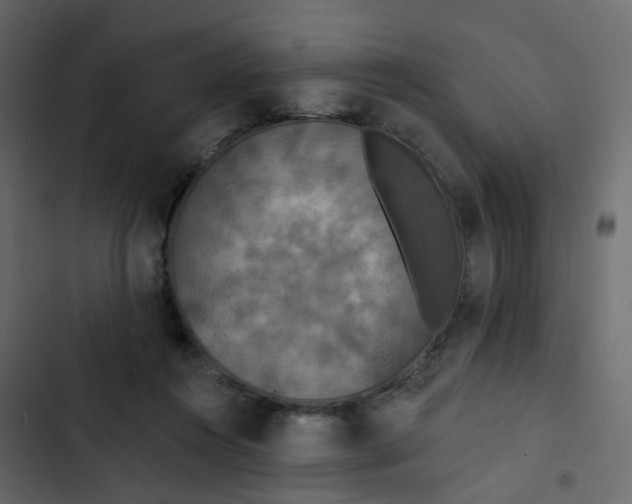 X0000102850360200809021406