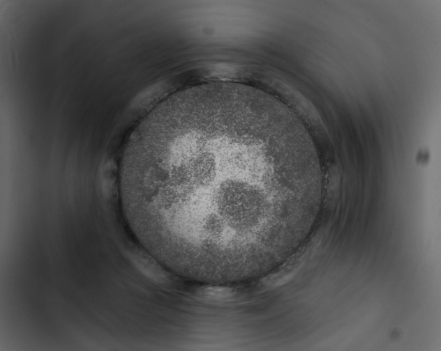 X0000102850361200809021406