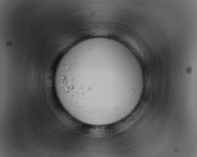 X0000102850362200809021406