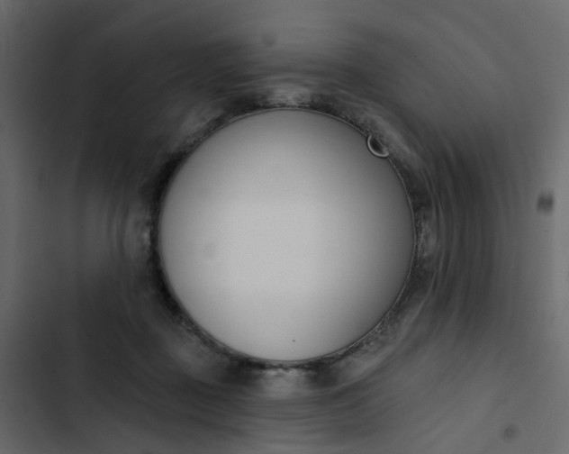 X0000102850363200809021406