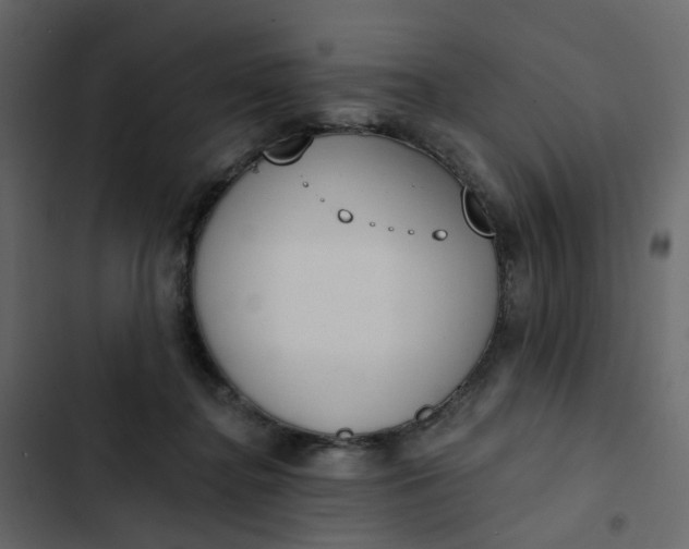 X0000102850364200809021406